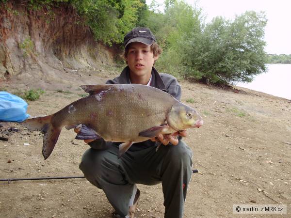 Ja a Cejn 64cm 3,8kg