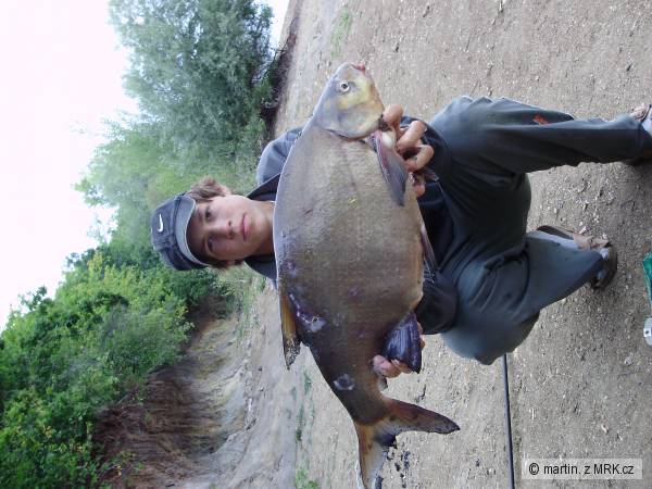 Cejn Velky 64cm