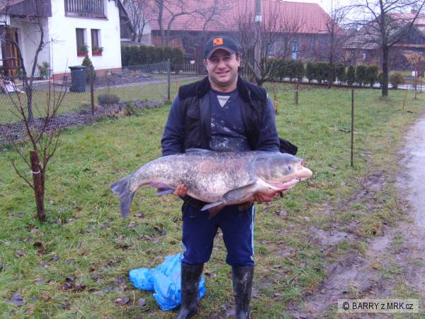 TOLSTOLOBIK 118cm 21Kg!