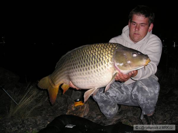 90cm14,5kg