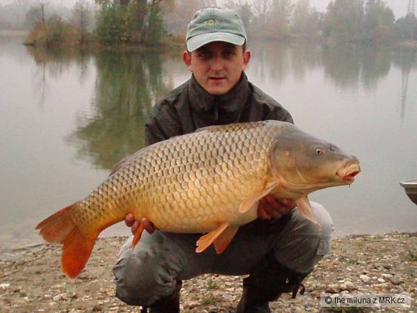Tou�e� 11/08   15 kg