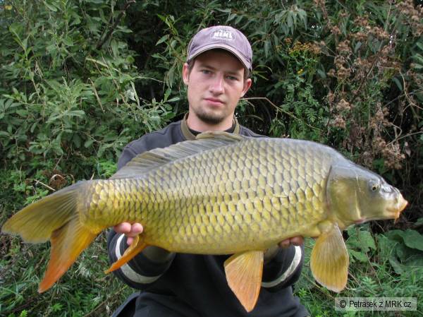 72cm 7kg