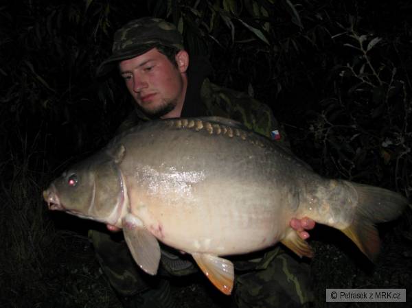 70cm 7kg