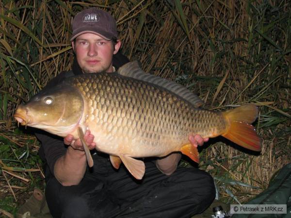 83cm 12kg