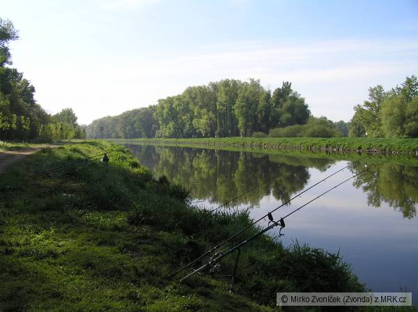 R�no-Labe