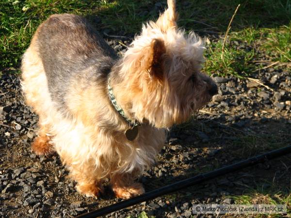 Hl�da� prut�