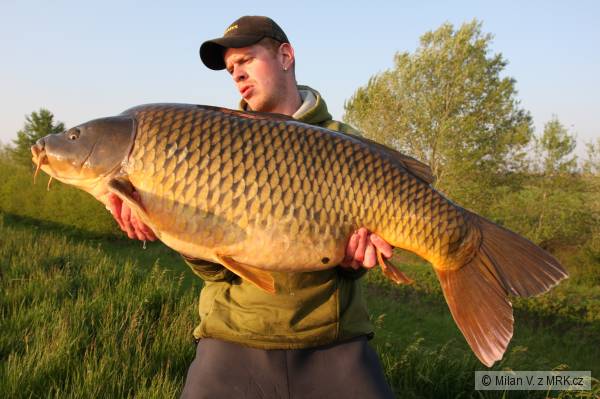 23,30kg