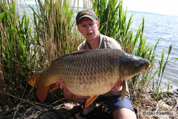 16,20kg