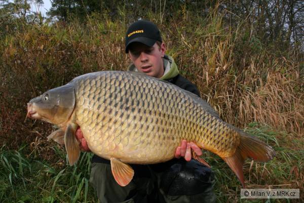 88/14,5kg