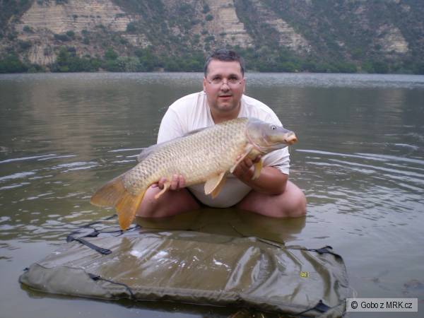 Riba-Roja Kapr 89cm 10kg