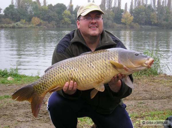 La Saone Kapr 92cm 12kg