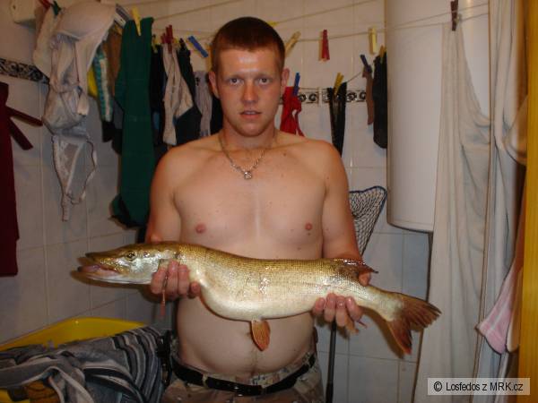 stika 75cm