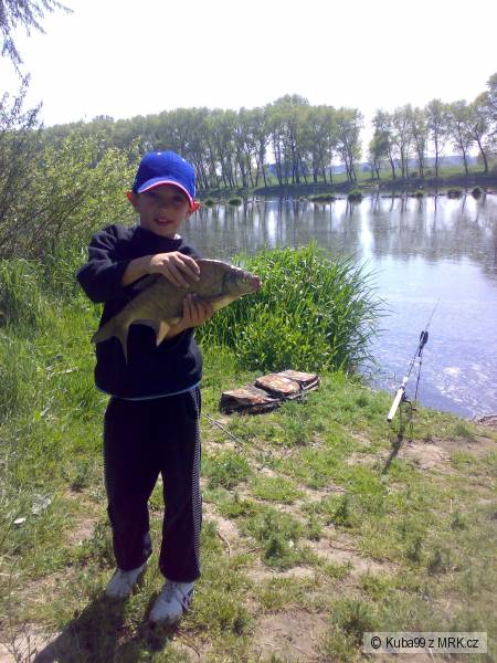 Cejn 48cm