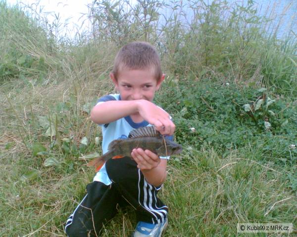 Okoun