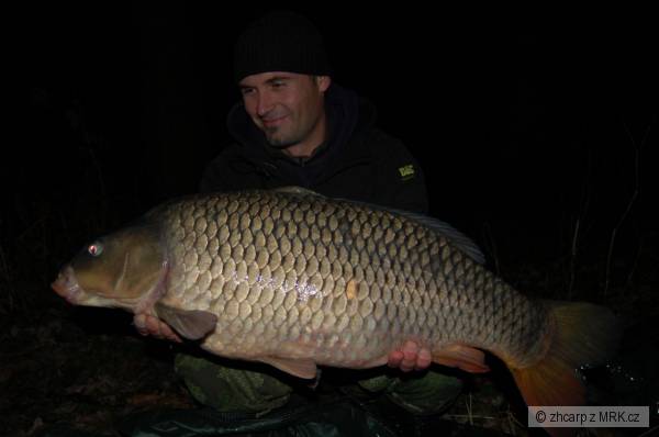 10.80 kg