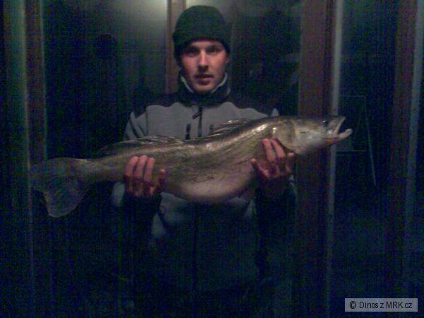 Zub�� 89 cm, 7,3kg pr�vla� - vobler 6,5cm