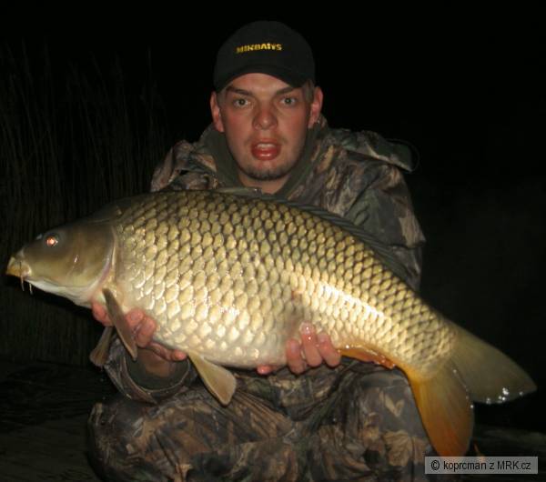 81 cm 9,1kg