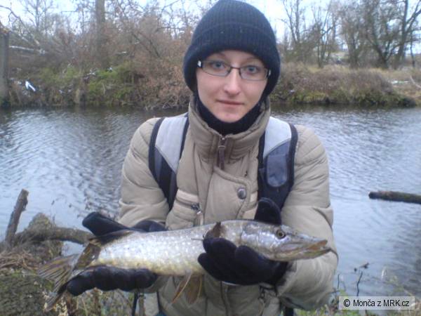 22.11. �tika