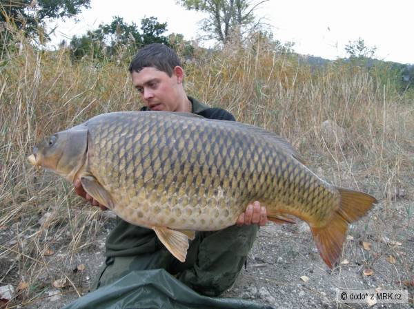 Cassien 10-27.08 18kg �upi