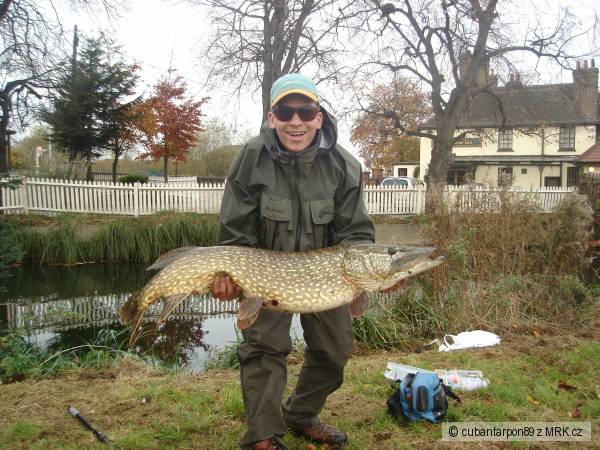STIKA 35 lbs