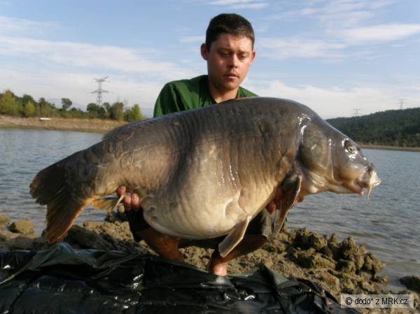 Biela pani 25KG