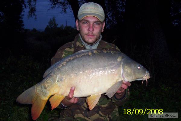 74 cm 7kg
