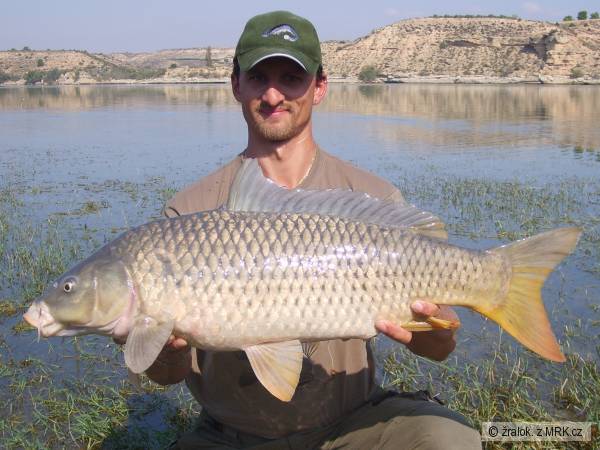 �panelsky �upinac 90cm-10,5kg