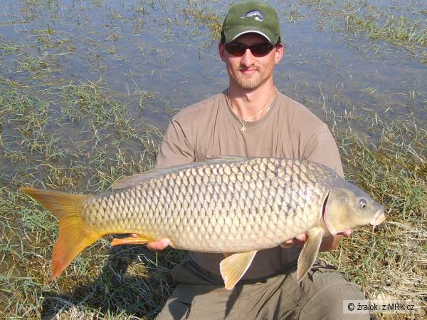 RIO EBRO 87cm-9kg