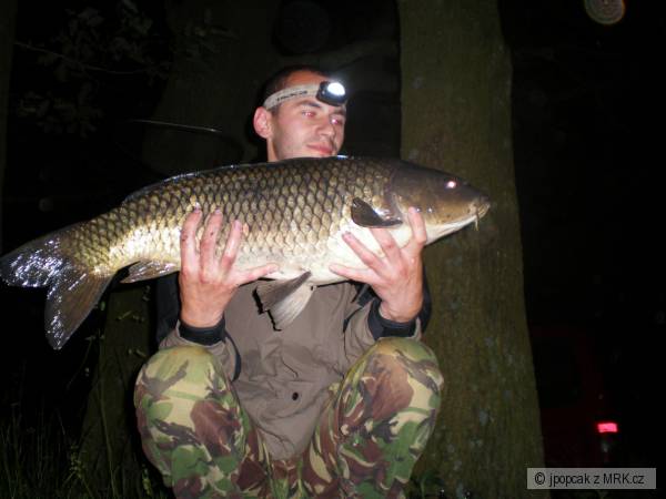 krasavec 7 kg