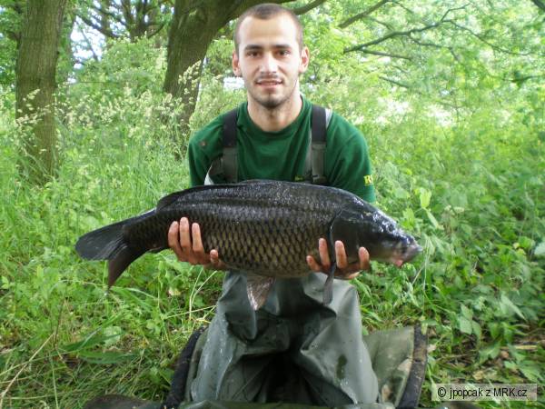 kapor 8 kg