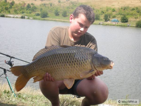 carp 77cm