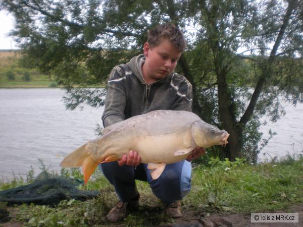 carp 78cm 10kg