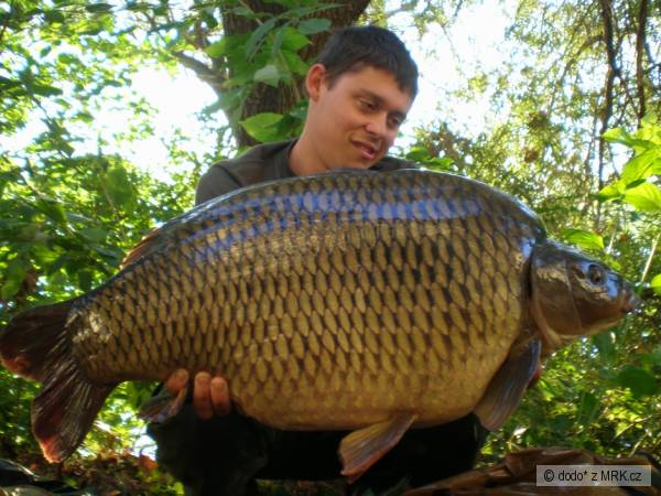 15.10kg