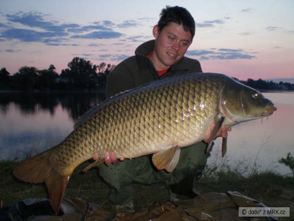13.00kg