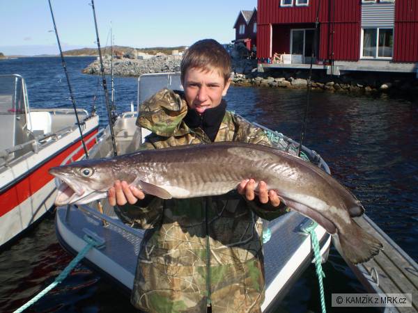 Norsko 2008