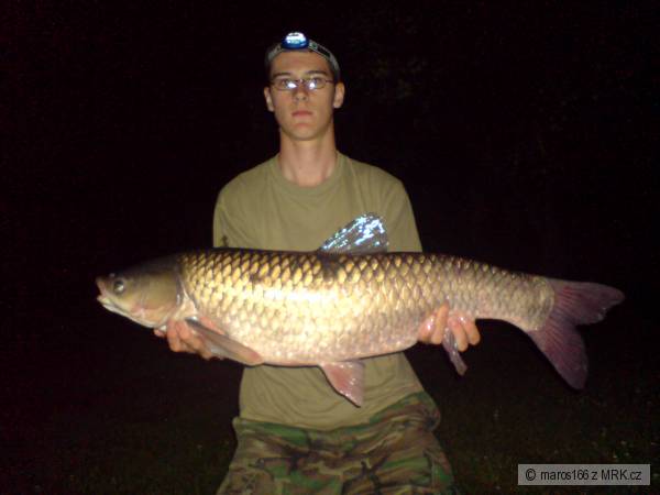 amur 87cm, 9kg