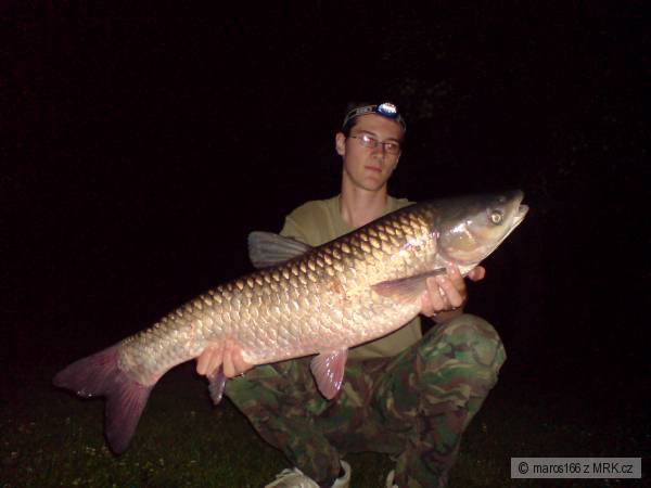 amur 87cm, 9kg.