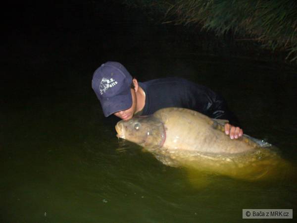 Fedor 21 kg