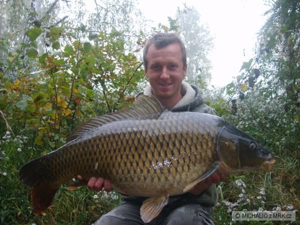 kapor 84cm 11.5kg