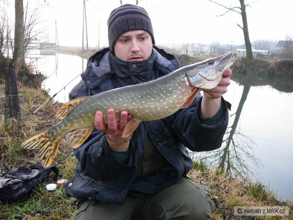 �tika z Oskavy
