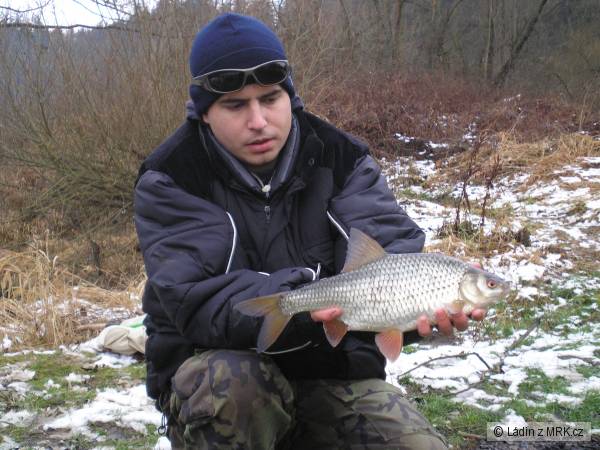 40 cm