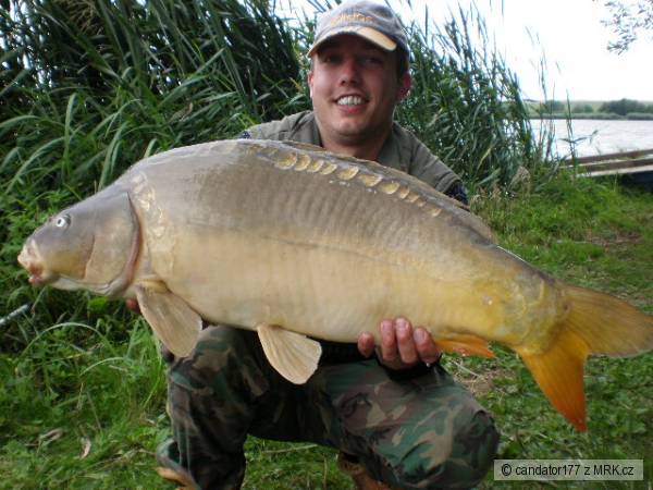 carp team