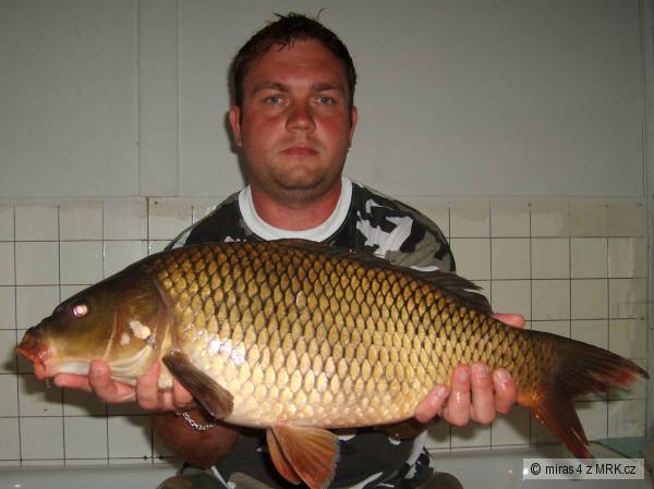 ORL�K POUZE 60 CM