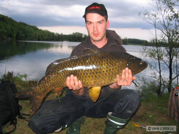 Kapr 89 cm, 11 kg