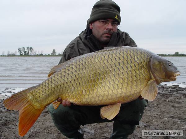 Neskor� jese�.