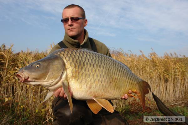 Neskor� jese� 4.