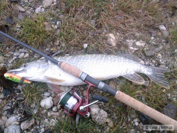 vypasen� decembrov� 60siatka