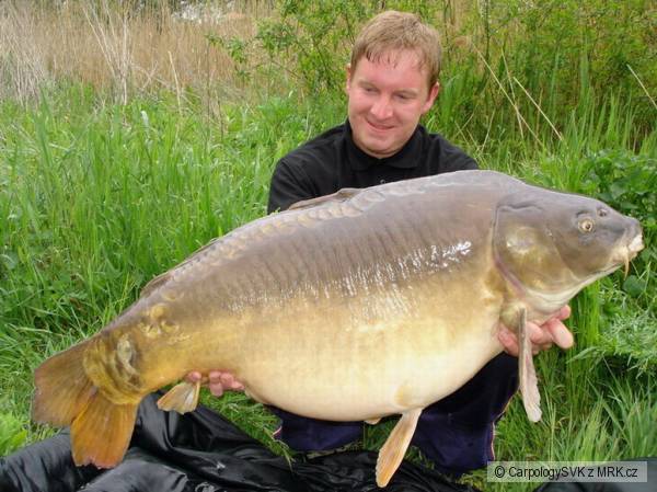 96cm 21,9kg
