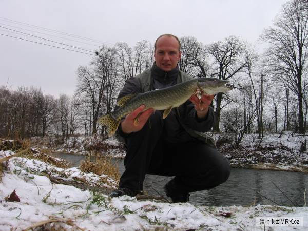 �tikovec
