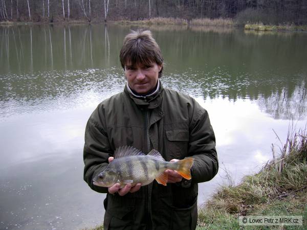 M�j ta�ka a okoun 38cm.